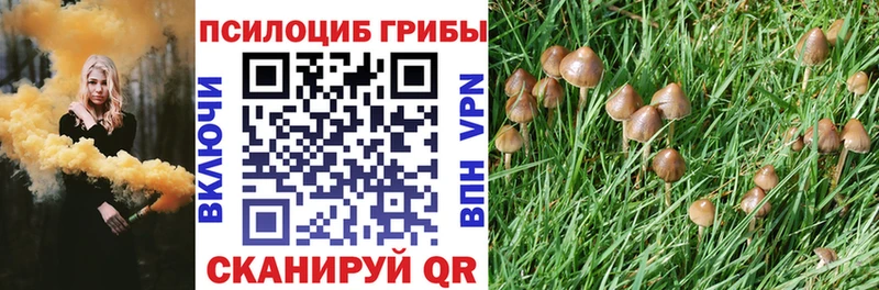 наркошоп  Заозёрск  Псилоцибиновые грибы прущие грибы 